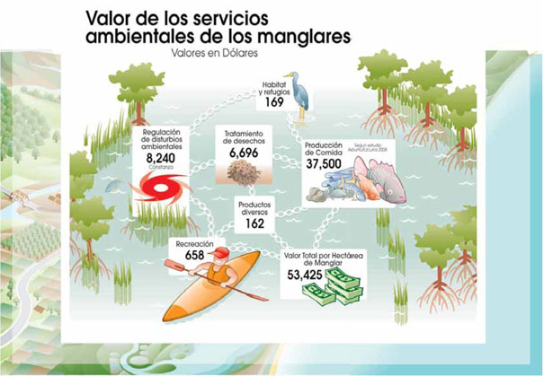 Valor de los servicios ambientales de los manglares
