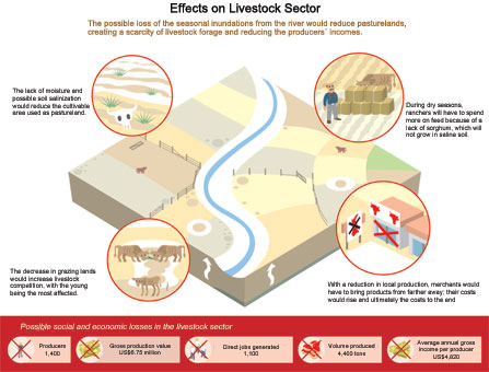 Diagram about the threats to the livestock sector of building the El Centenario irrigation project on the San Pedro Mezquital River