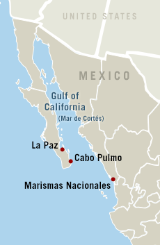 Mapa de la region del golfo de California