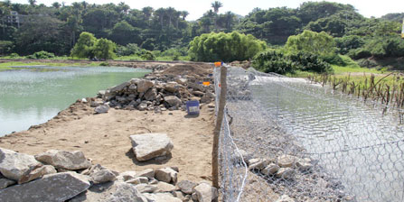 Damages to San Pancho wetlands