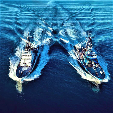 Sea Shepards