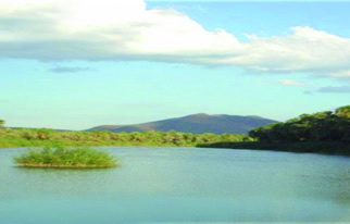 Panorama of San Ignacio oasis