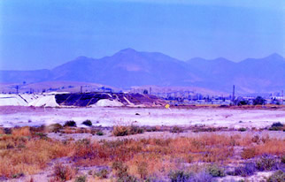 Panorama of San Ignacio oasis