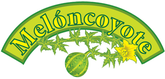 Meloncoyote logotipo