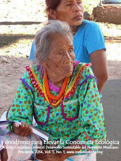 mujeres nayeri