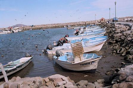 Loreto Bay Marine Park